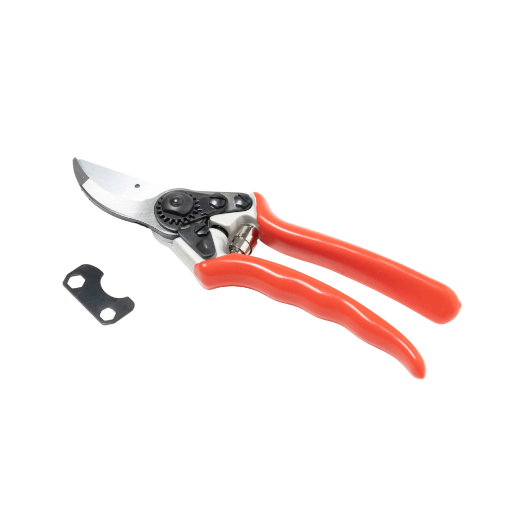 Bypass Pruner