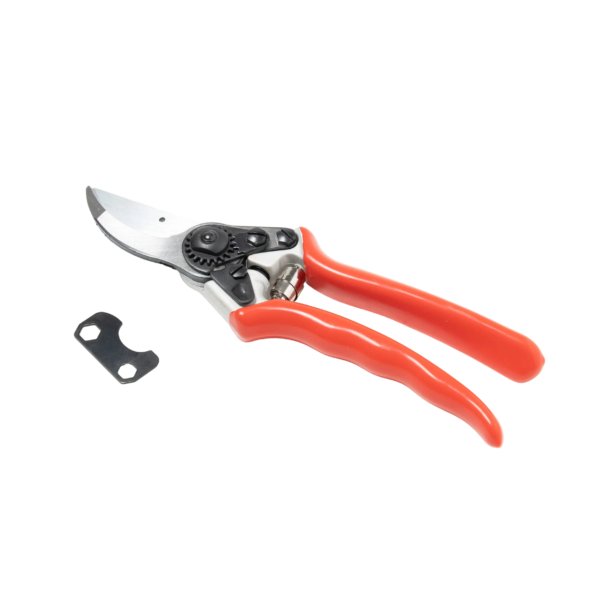 Bypass Pruner