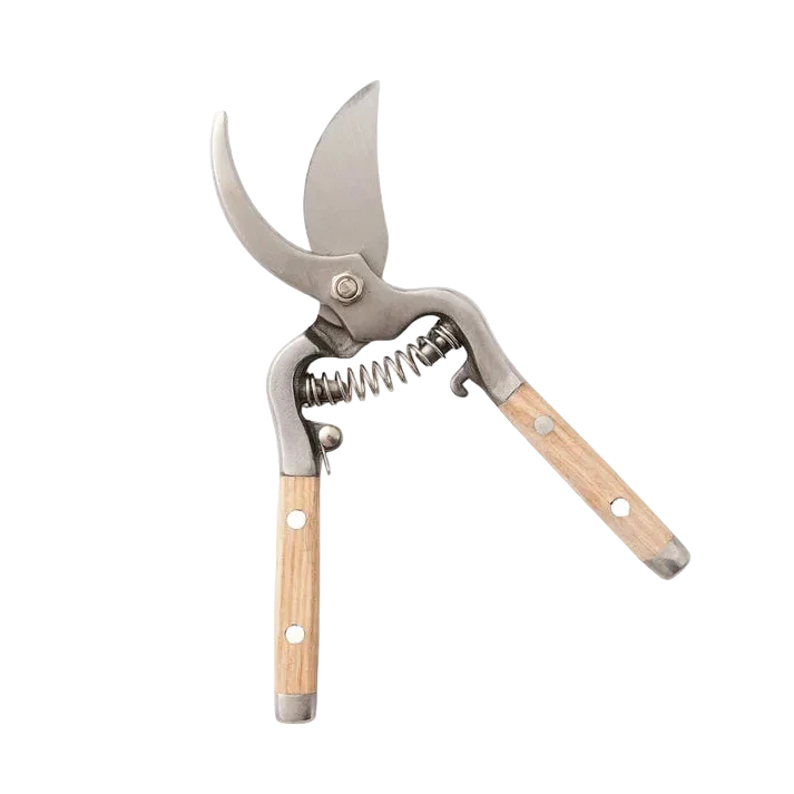 Ashwood Stainless Pruner