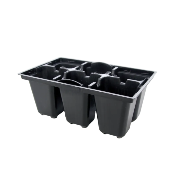6 Cell Seedling Tray