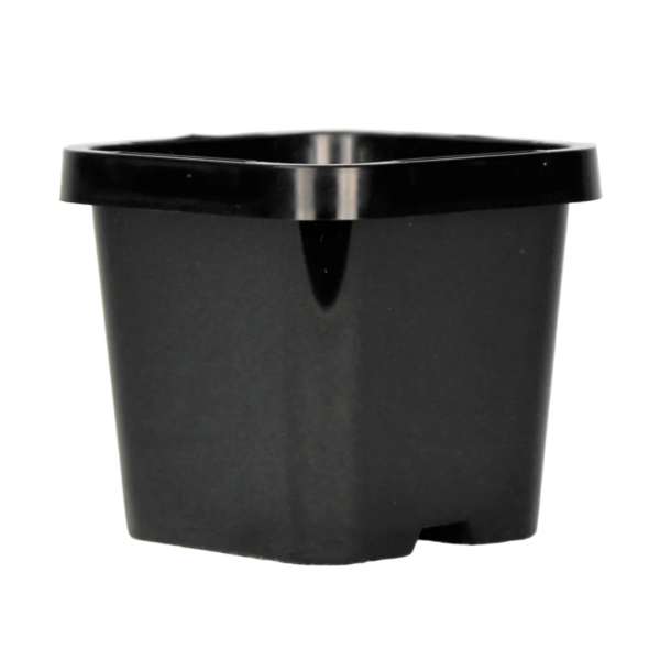 66mm Square Pot