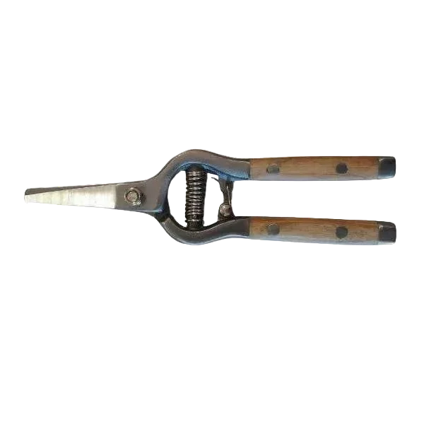 Ashwood Stainless Snip